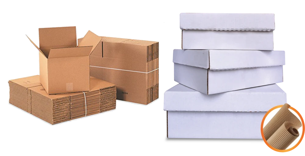 fabricante cajas calzado zapatos personalizado proveedor